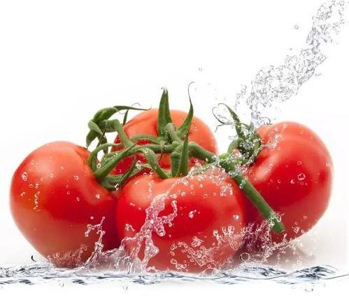 朝堂吃瓜番茄小说免费阅读 第3张 朝堂吃瓜番茄小说免费阅读 第3张